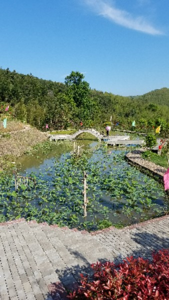 南平市建瓯市