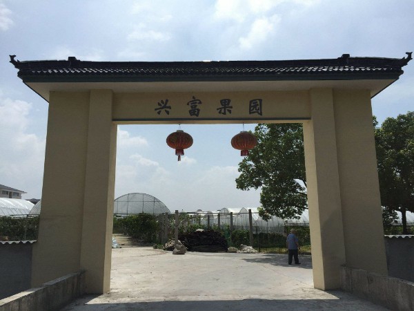 兴富果园