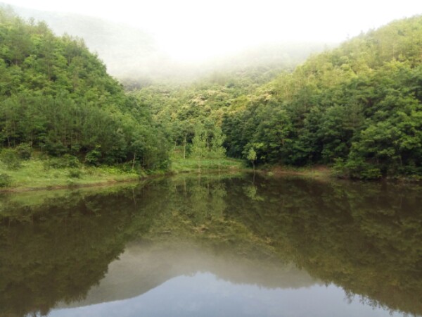 襄阳市南漳县