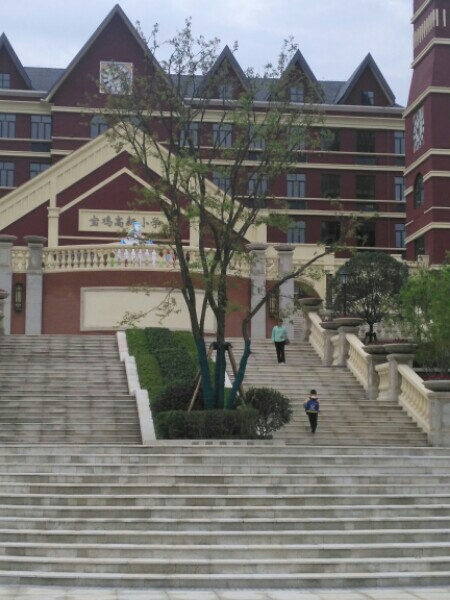 宝鸡高新小学