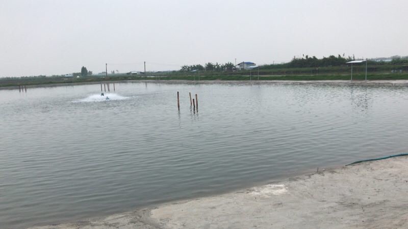黄金海钓场