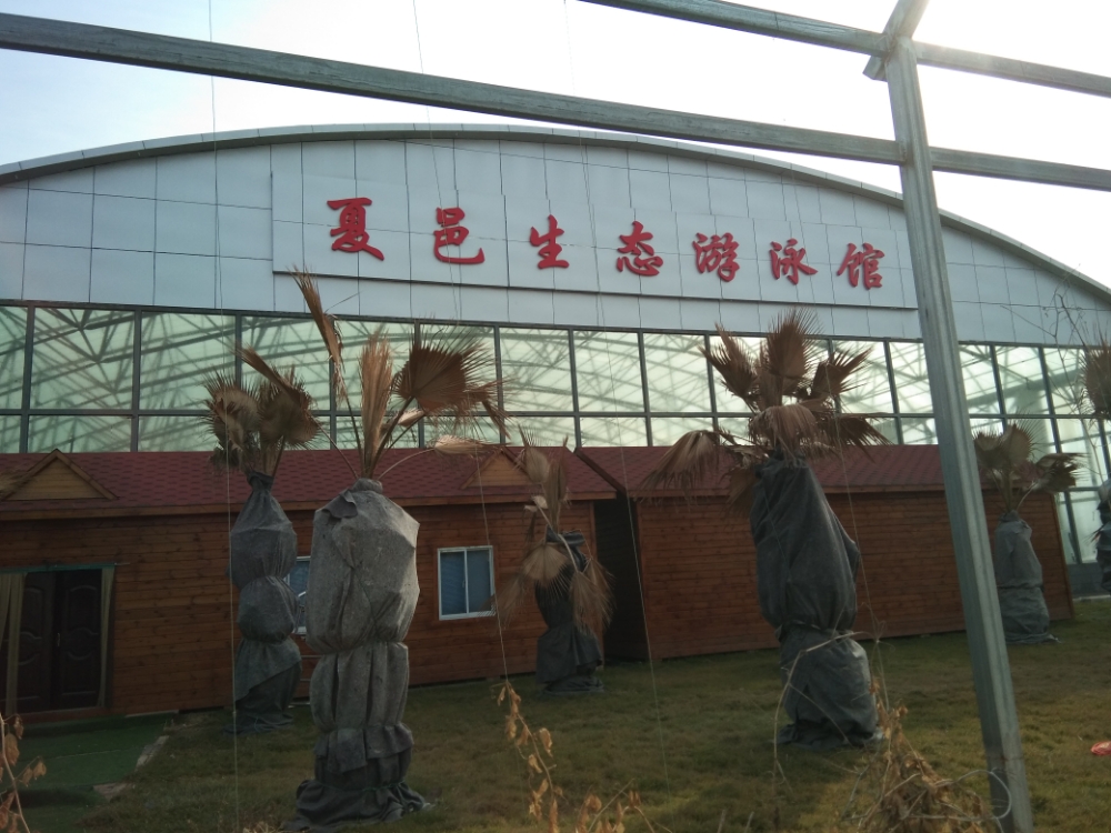 夏邑生态游泳馆