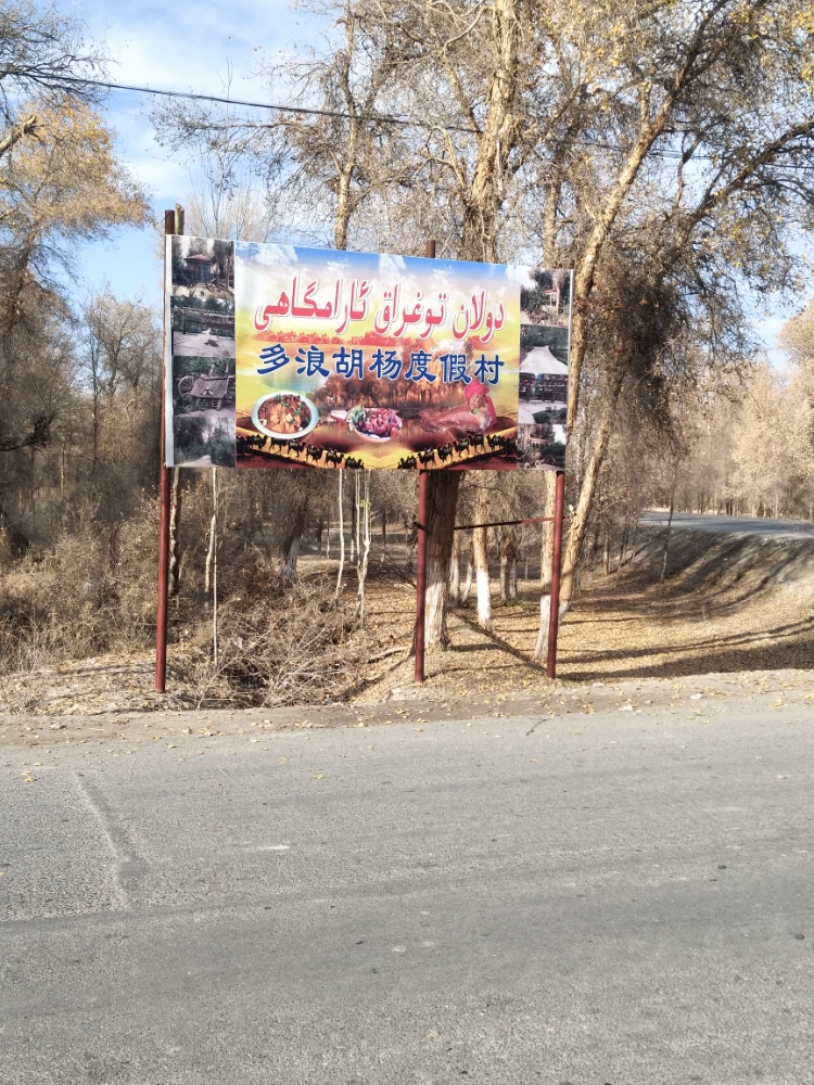 新疆维吾尔自治区阿克苏地区阿瓦提县Y509