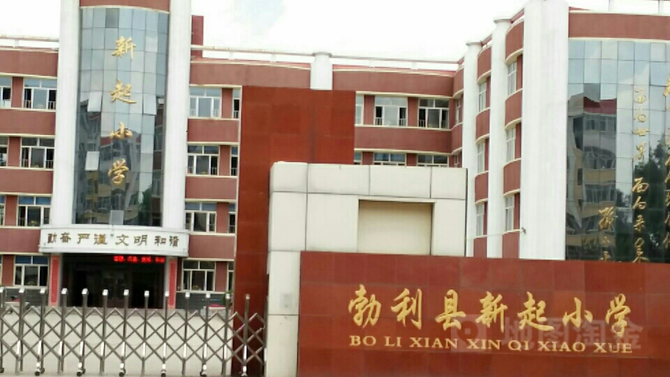 新起小学