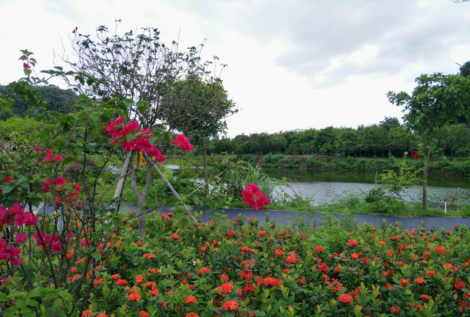 鲤鱼山生态湿地公园