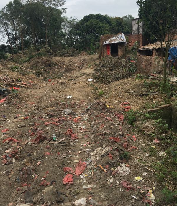 广东省茂名市电白区坡心镇七星管理区