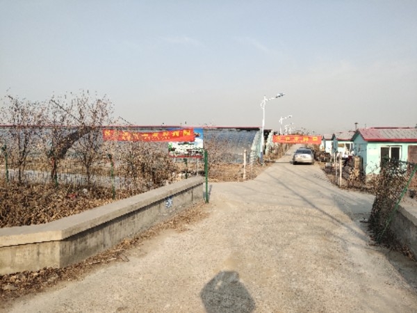 先弄大院草莓采摘园