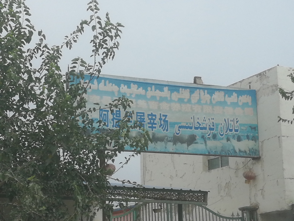 新疆维吾尔自治区喀什地区莎车县