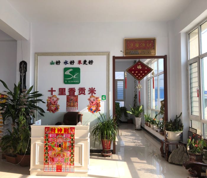 十理香贡米
