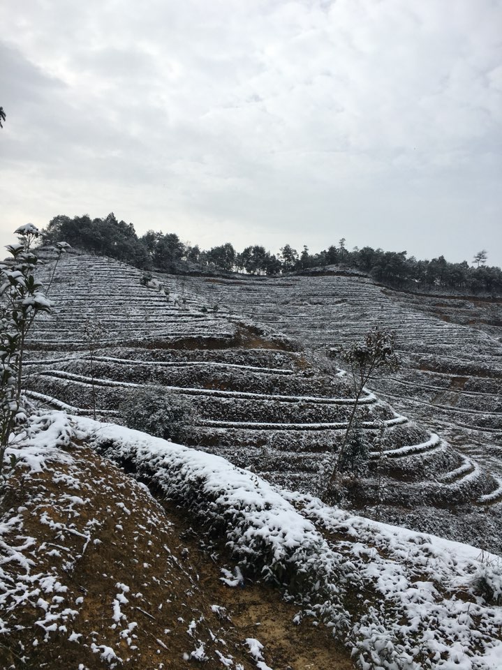 上梅村 地址:南平市武夷山市