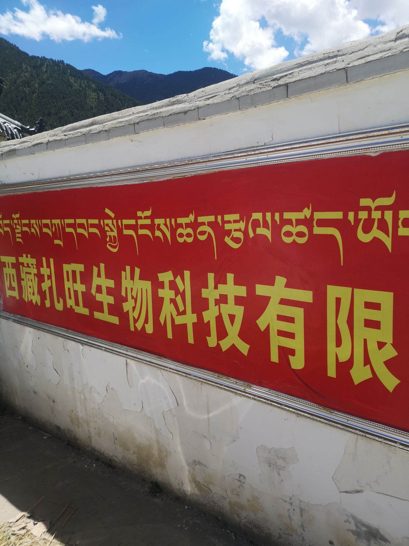 西藏扎旺生物科技有限公司