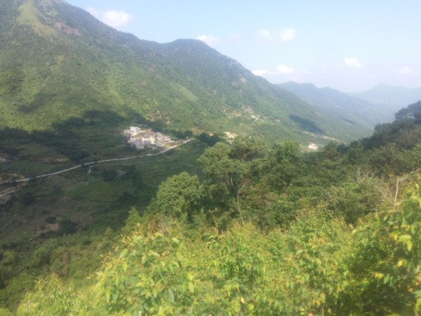 平云山冼太庙