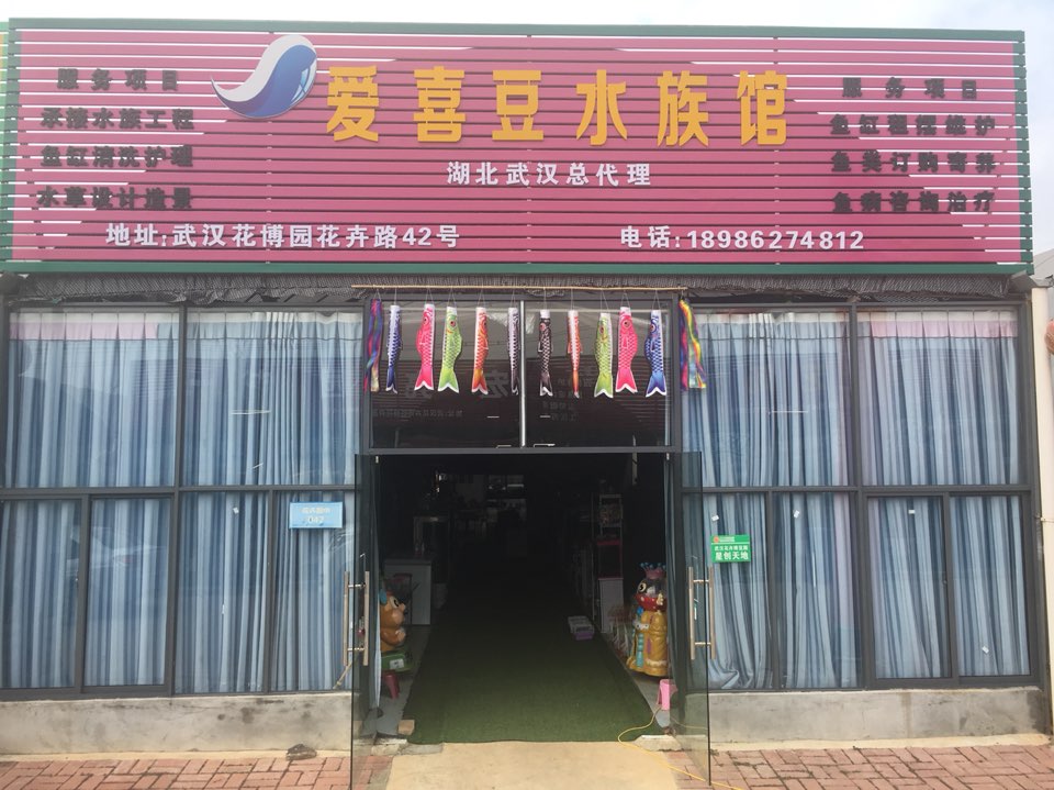 爱喜豆水族馆(湖北武汉总代理)