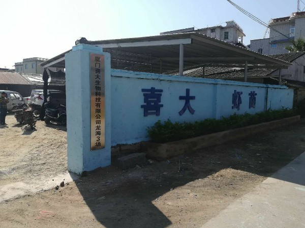 福建省漳州市龙海区白水镇下辽村灶柄32号