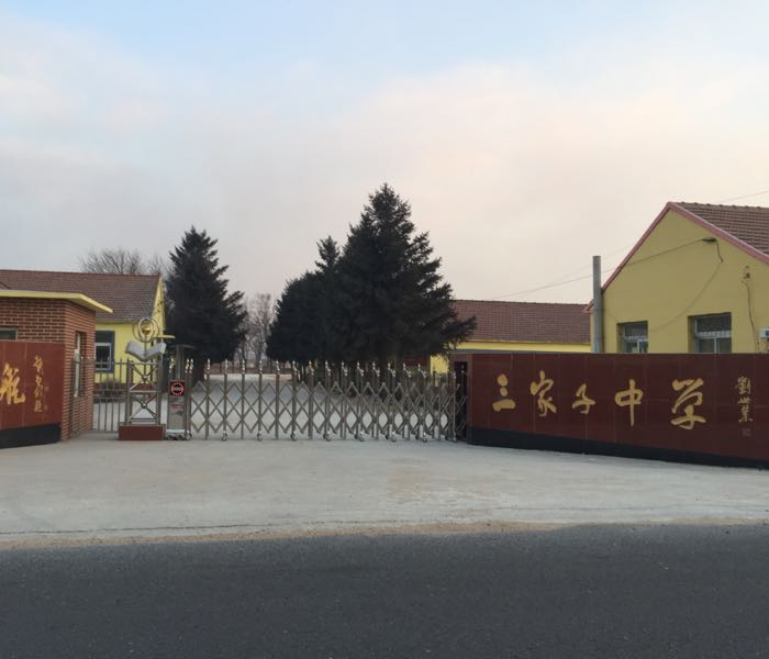 大三家子村地名网_辽宁省铁岭市开原市李家台镇大三家子村资料简介