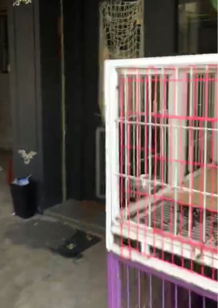 广东省-汕头市澄海区红红光购物澄海水产品分店(美江路与)哈尼宠屋