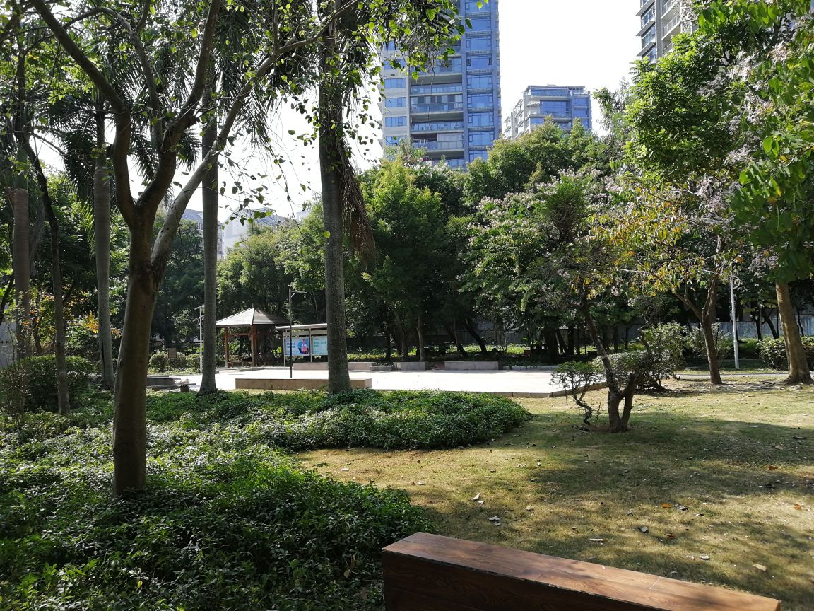 广东省深圳市南山区桃源社区公园(桃源村地铁站北)