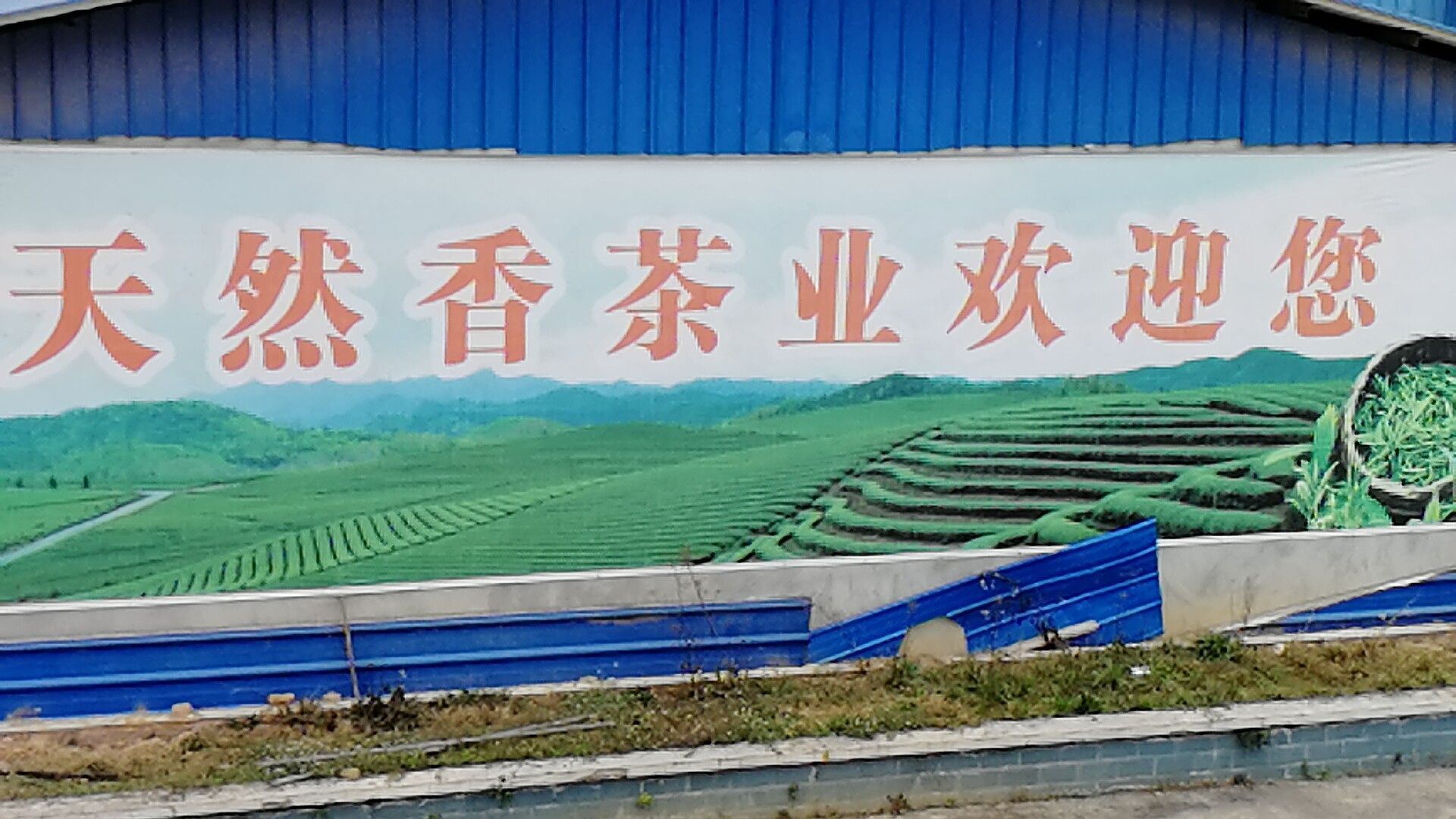 天然香茶业有限公司