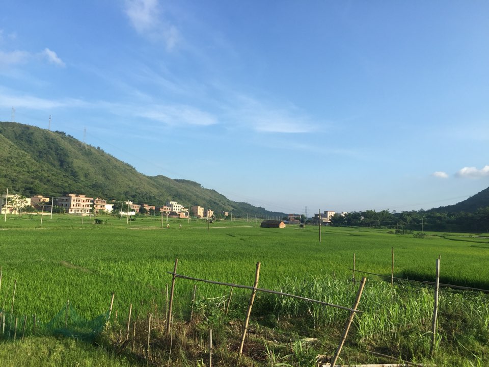 茂名市电白区