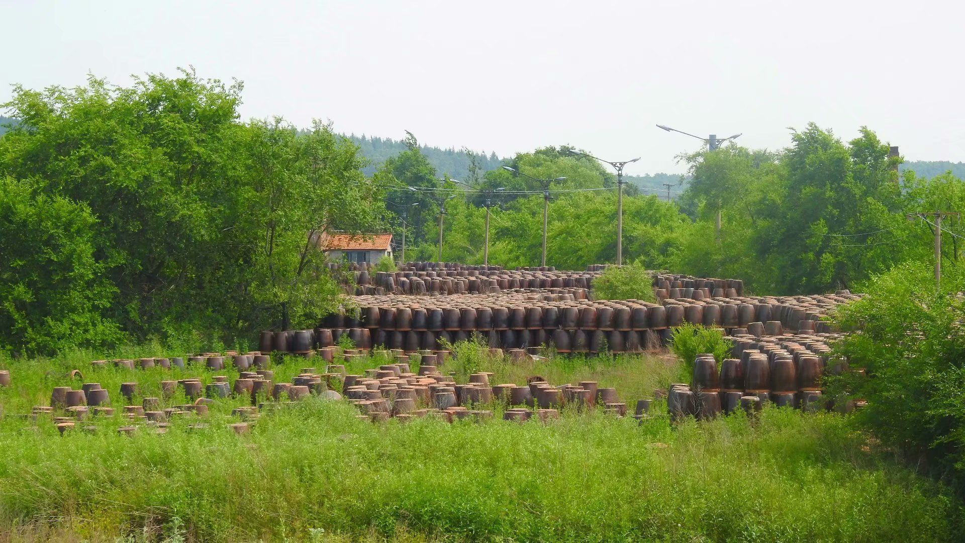 缸窑镇