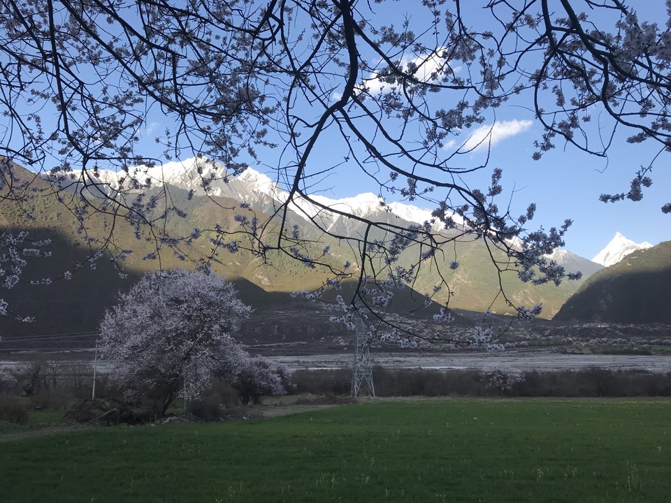 林芝市波密县