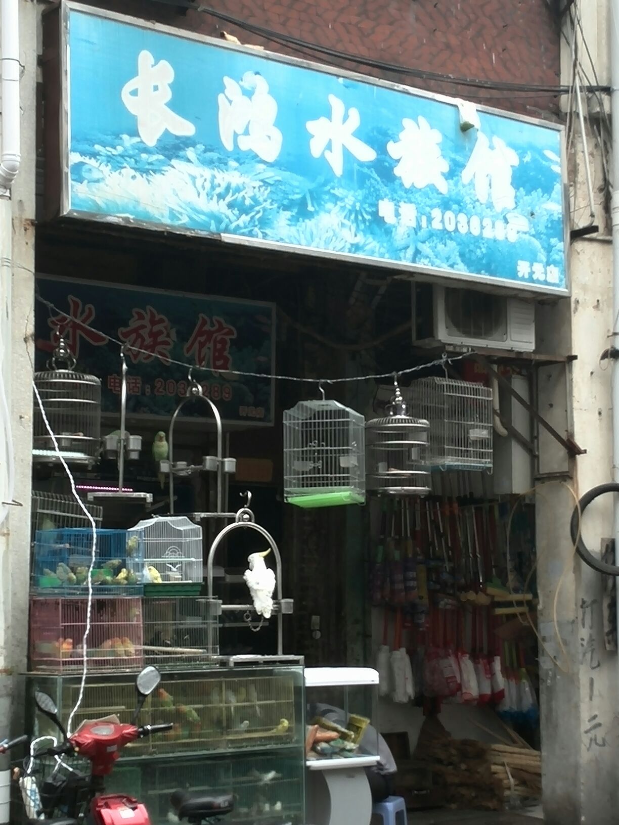 长鸿水族馆(开元店)
