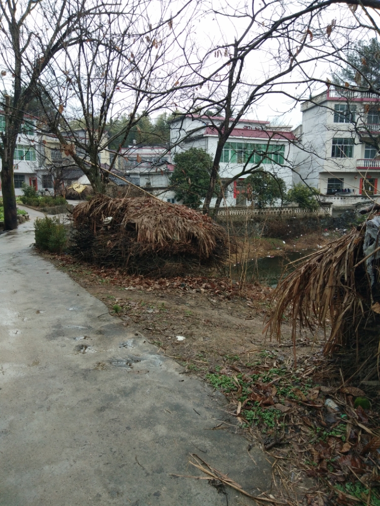 湖北省黄冈市罗田县河铺镇马驿坳村12组