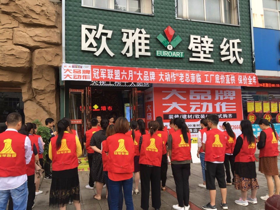 欧雅壁纸(新县专卖店)