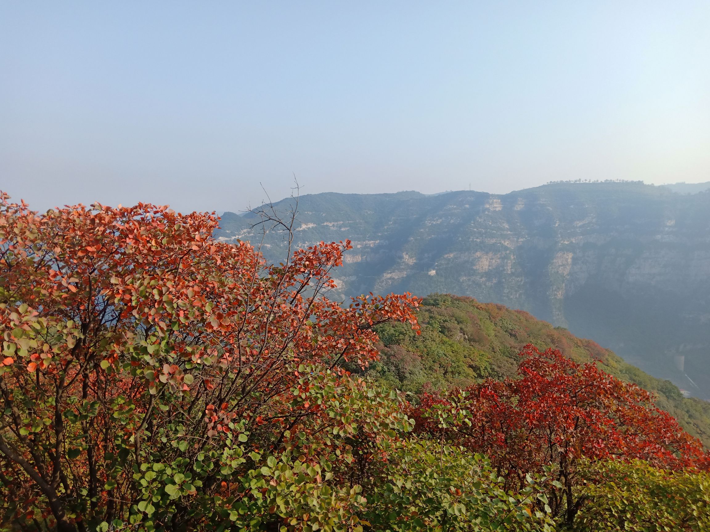 太行红叶枫景区