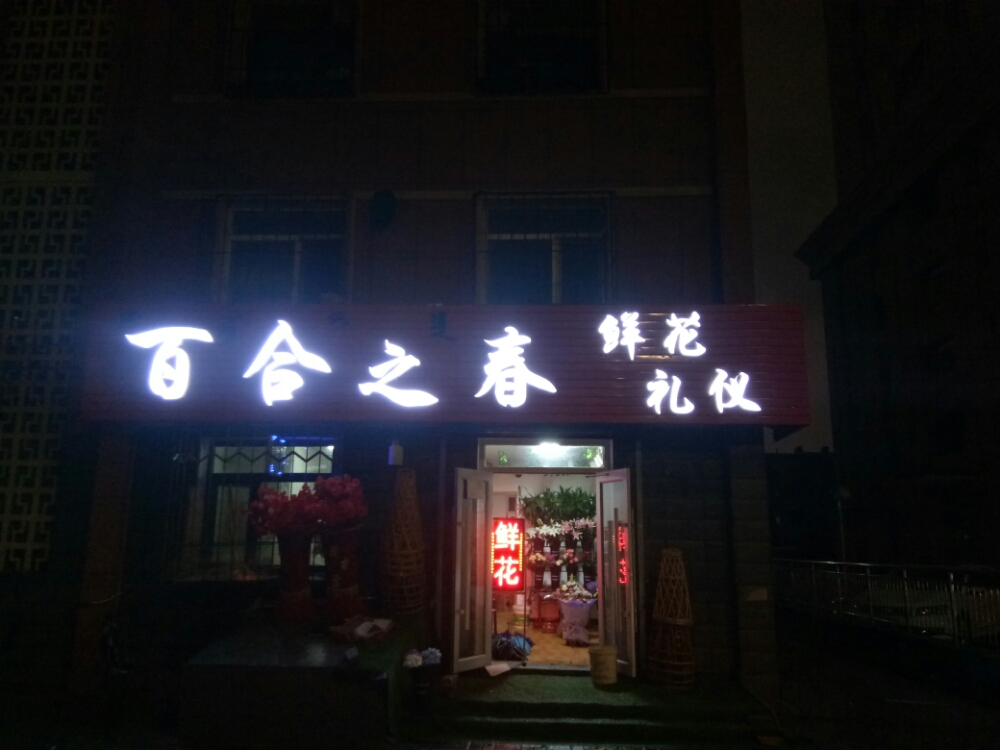 百合之春花点