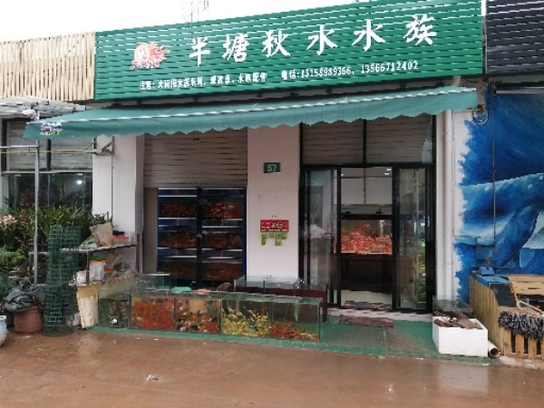 半塘秋水水景
