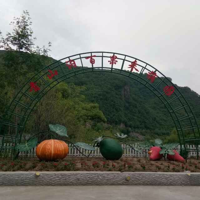 宽甸青山沟镇百果采摘园