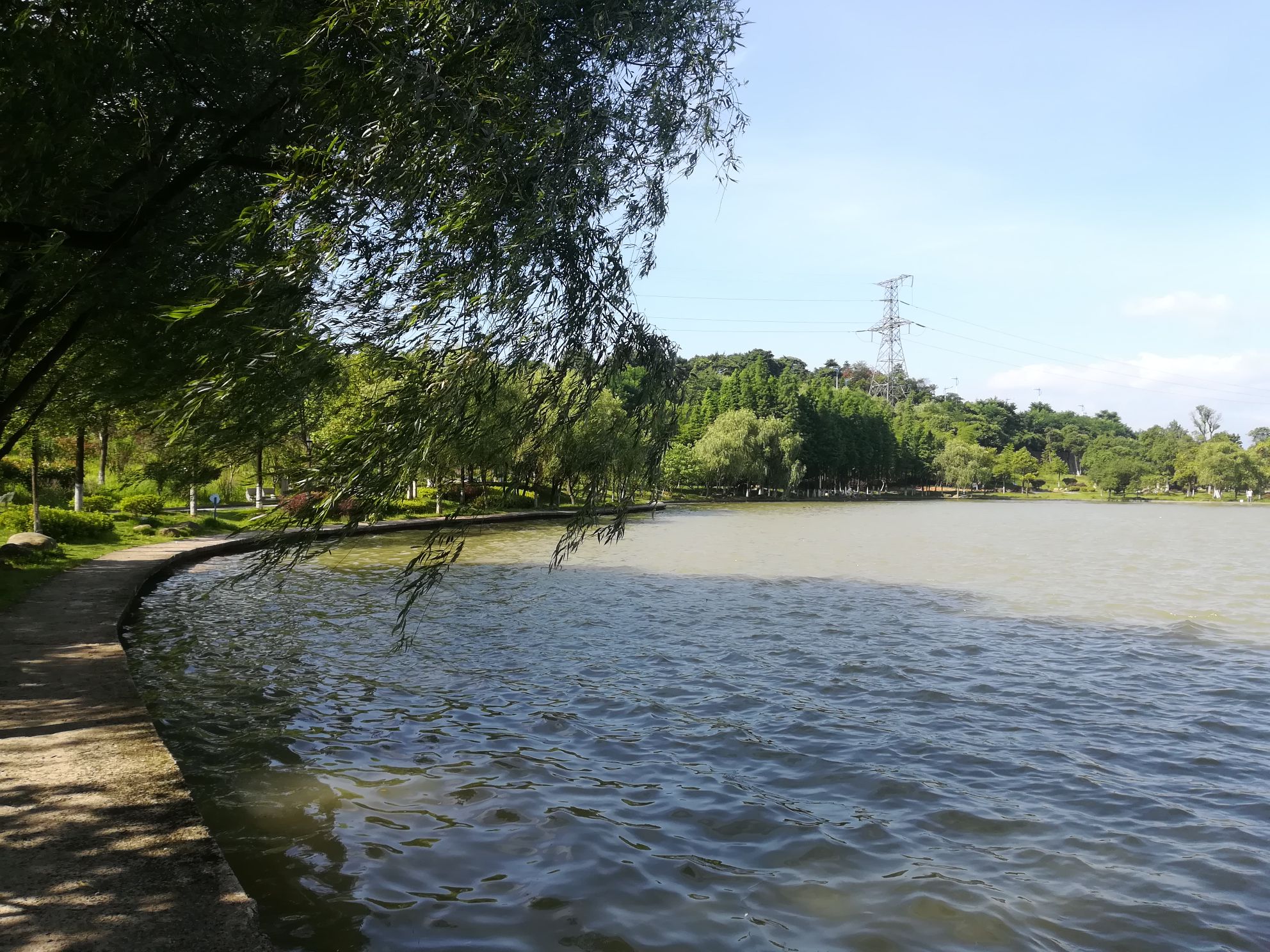 王仙湖公园