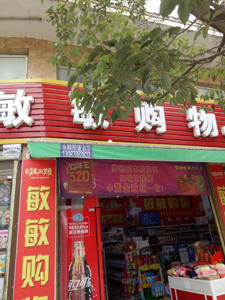 敏敏购物(镇隆小区店)