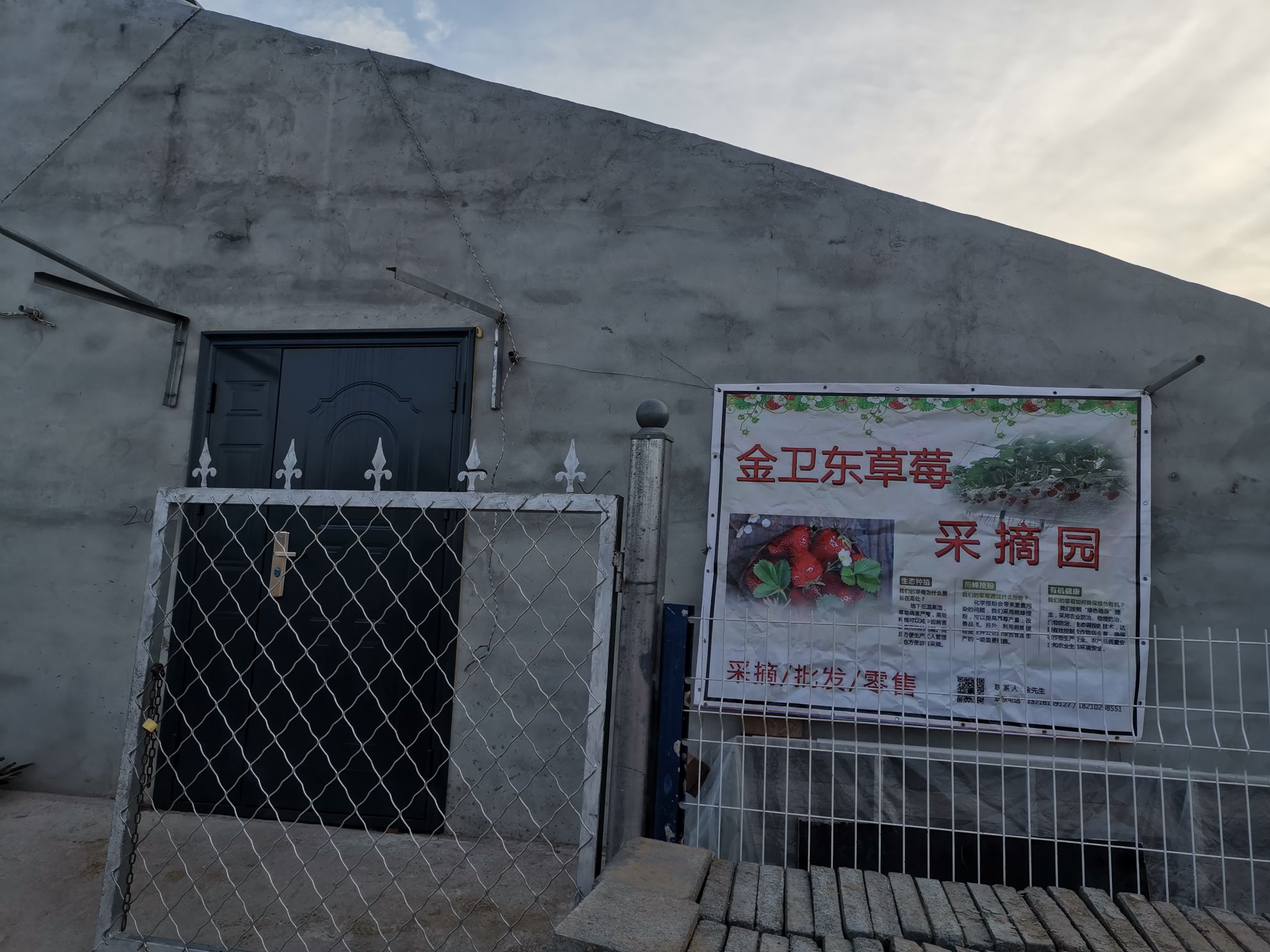 金卫东草莓采摘园,电话,路线,公交,地址,地图,预定,价格,团购,优惠