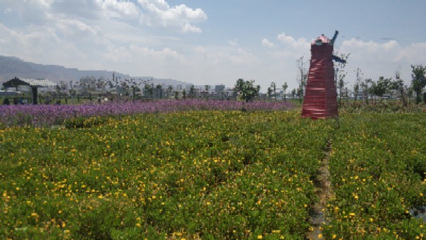 风车花园