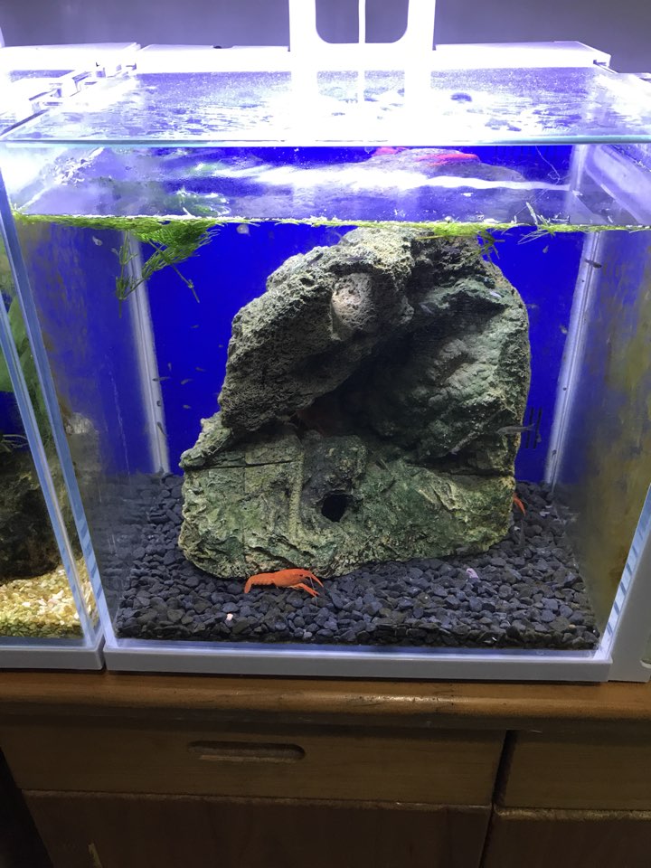 微世界水族馆