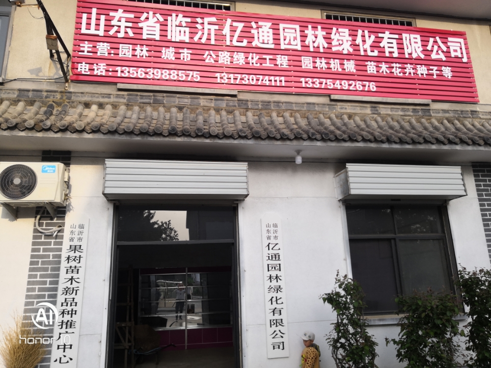 临沂亿通园林绿化有限公司