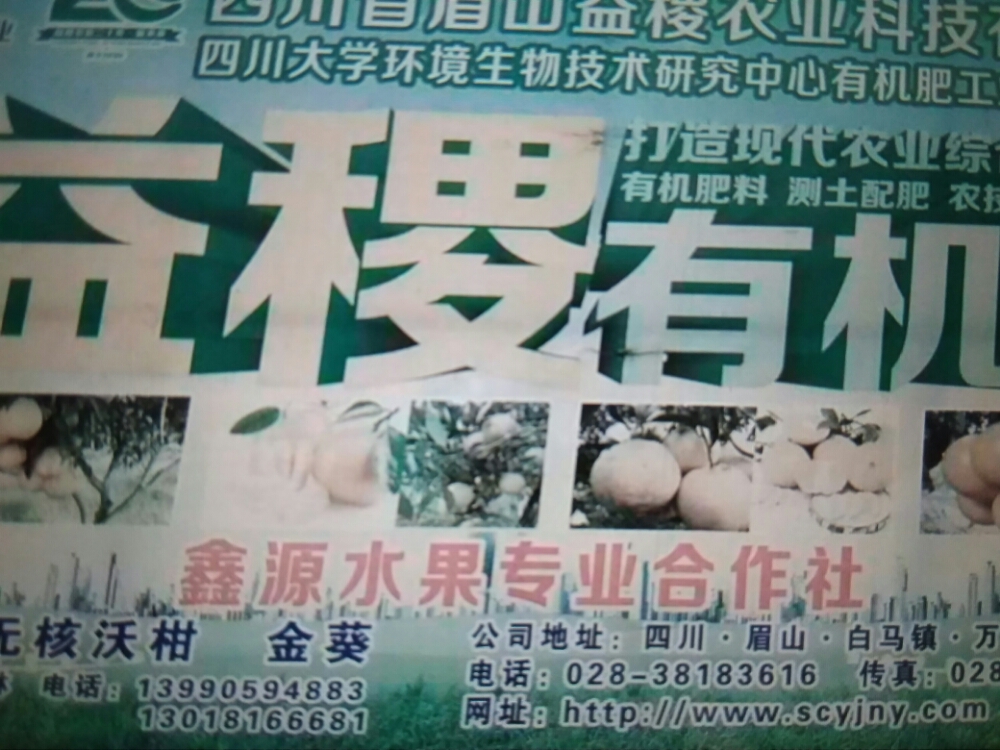 鑫源水果专业合作社