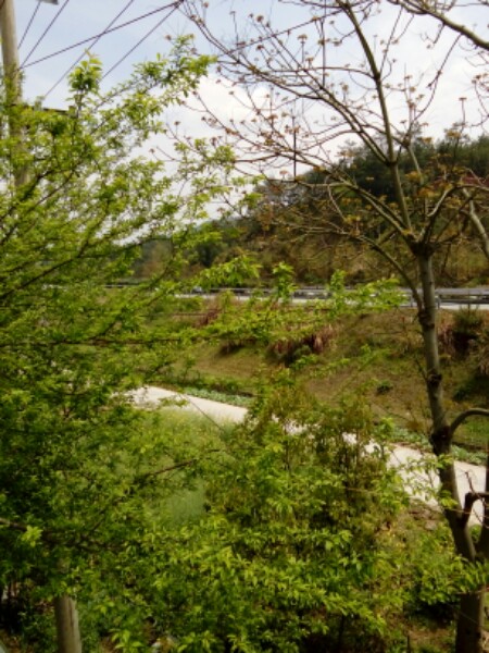 黄山市歙县