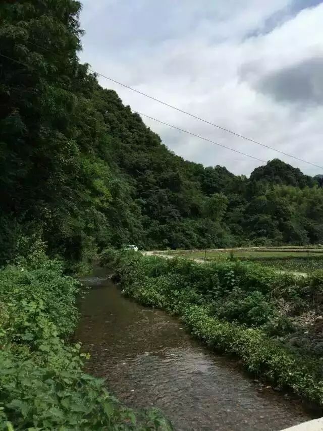 常德市桃源县