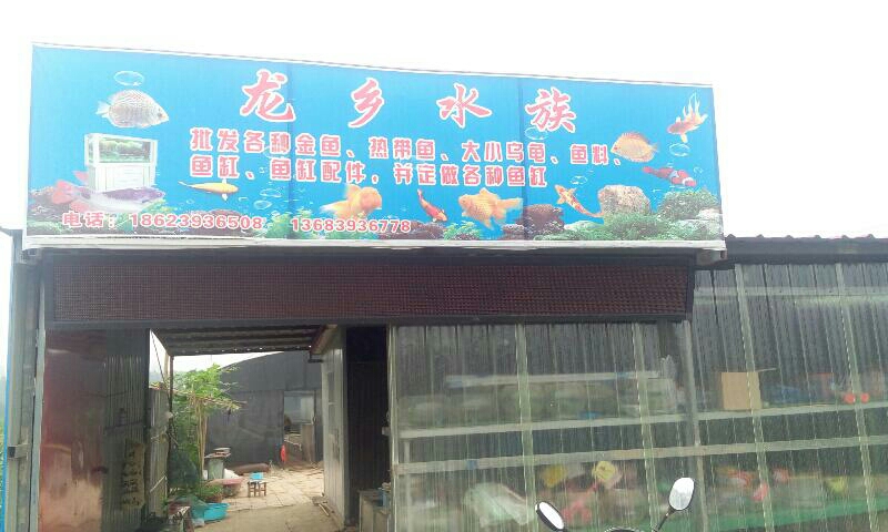 龙乡水族