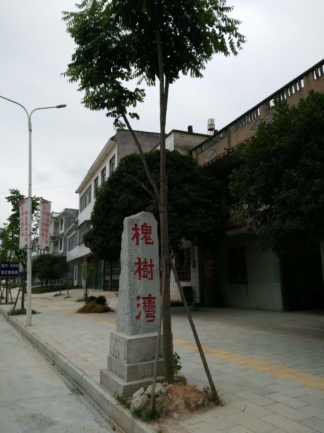 咸宁市通城县北港镇庄前社区新力大道