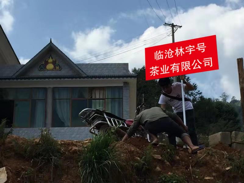 云南省临沧市双江拉祜族佤族布朗族傣族自治县南布村沙平组