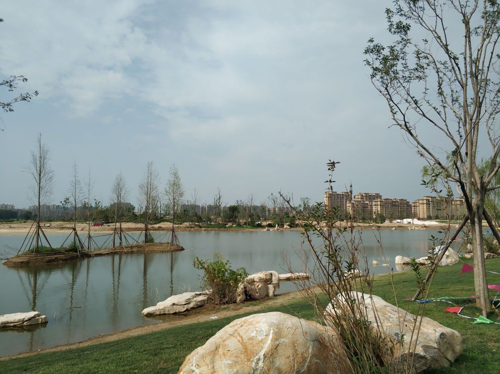 地址(位置,怎么去,怎么走):  山东省菏泽市鄄城县陈王路