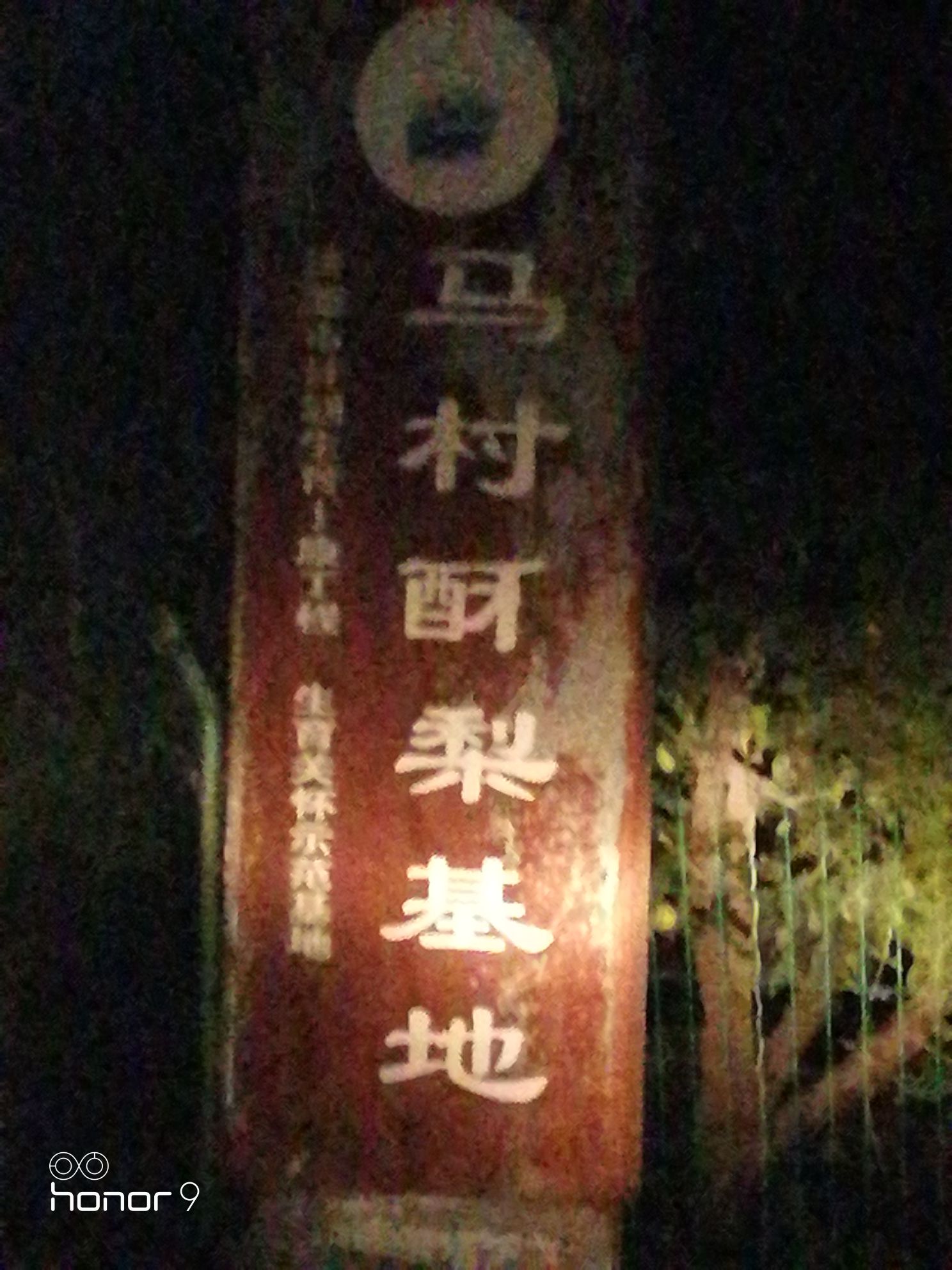 河南省济源市马村酥梨基地