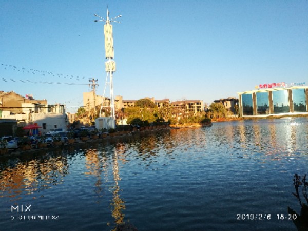 朝阳楼外小桂湖