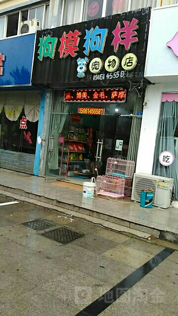 狗模狗样宠物一站式服务中心(汴河路店)