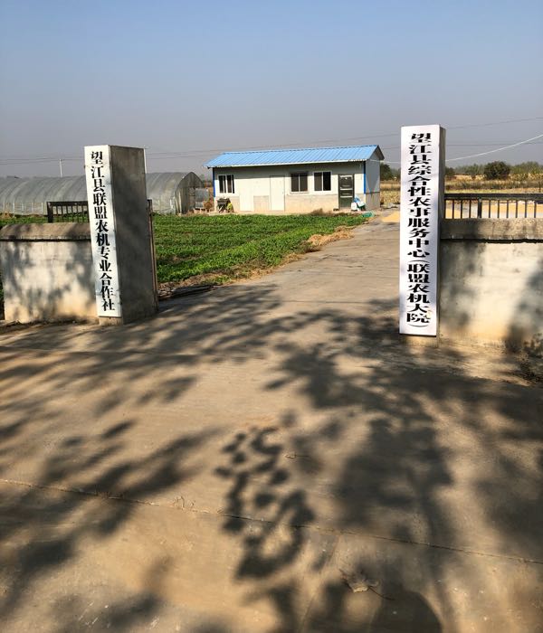 安徽省安庆市望江县太慈镇沈冲乡六零圩村