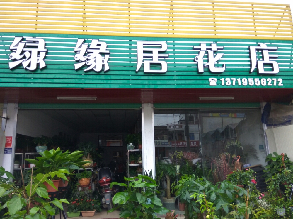 绿缘居花店